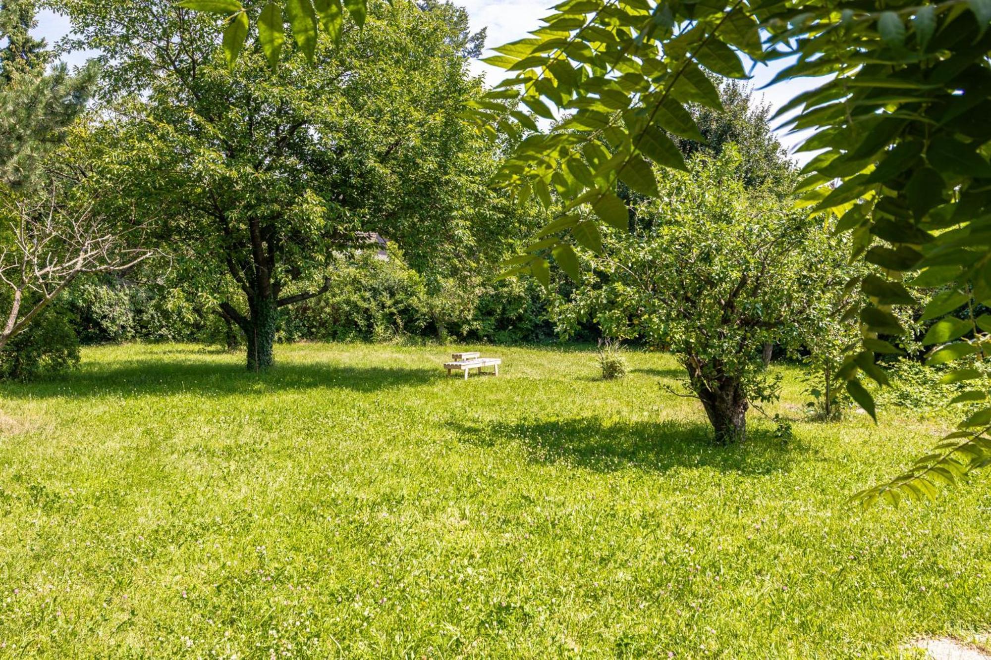Apartment Comfy 3br With Garden, Up To 10 People Wien