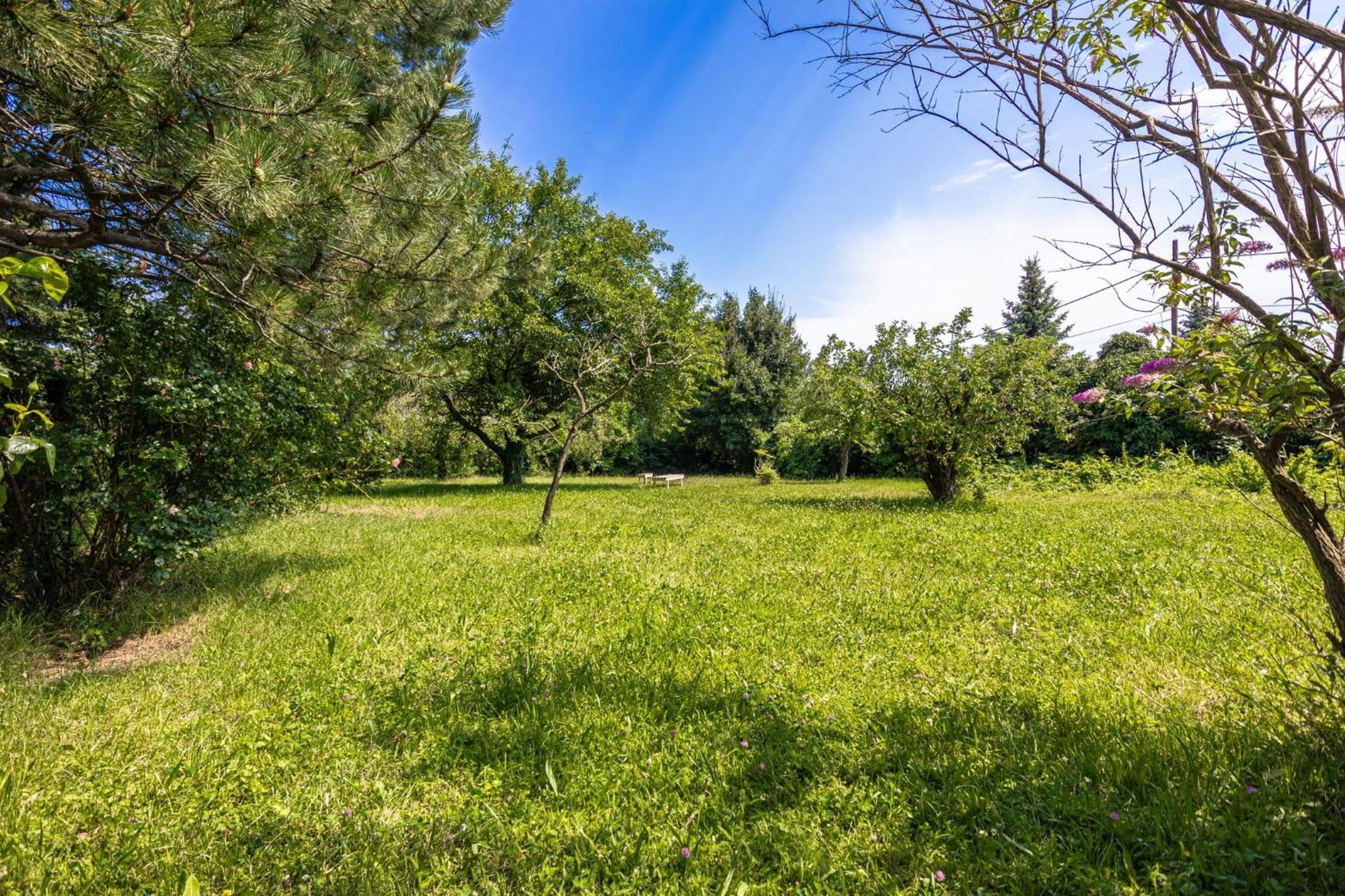 Comfy 3br With Garden, Up To 10 People Wien
